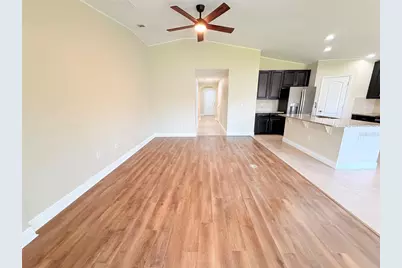 14323 Haddon Mist Drive, Wimauma, FL 33598 - Photo 10