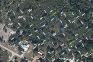 1211 Clinton St, Lake Placid, FL 33852 - Photo 1