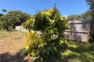 4944 Midnight Ln, Sarasota, FL 34235 - Photo 26