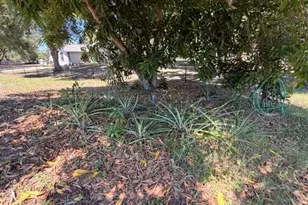 4944 Midnight Ln, Sarasota, FL 34235 - Photo 32