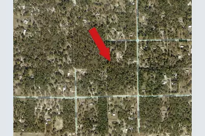 Peaceful Avenue, Weeki Wachee, FL 34614 - Photo 4