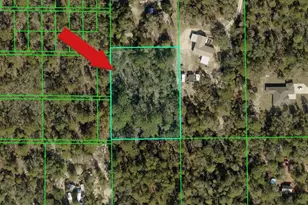 Peaceful Ave, Weeki Wachee, FL 34614 - Photo 1