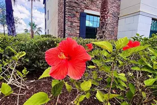 17108 Vardon Ter, Bradenton, FL 34211 - Photo 32
