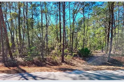 76 Fisher Run Terrace, Ocklawaha, FL 32179 - Photo 1