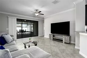 10009 Celtic Ash Dr, Ruskin, FL 33573 - Photo 8