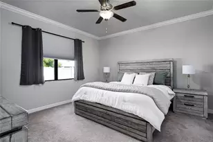 10009 Celtic Ash Dr, Ruskin, FL 33573 - Photo 18