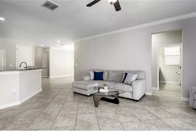 10009 Celtic Ash Drive, Ruskin, FL 33573 - Photo 6