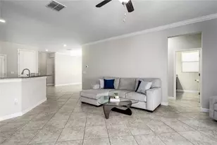 10009 Celtic Ash Dr, Ruskin, FL 33573 - Photo 6