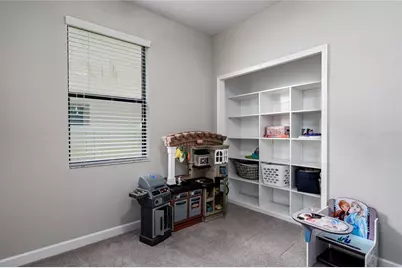 10009 Celtic Ash Drive, Ruskin, FL 33573 - Photo 26