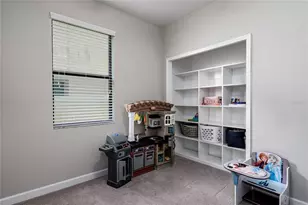 10009 Celtic Ash Dr, Ruskin, FL 33573 - Photo 26
