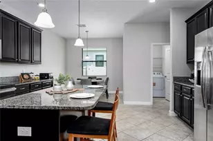 10009 Celtic Ash Dr, Ruskin, FL 33573 - Photo 10