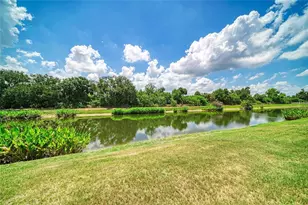 316 Star Shell Dr, Apollo Beach, FL 33572 - Photo 48
