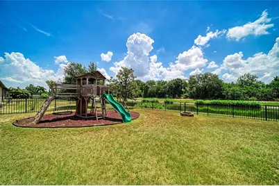 316 Star Shell Drive, Apollo Beach, FL 33572 - Photo 44