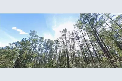 821 Belmonte Drive, Indian Lake Estates, FL 33855 - Photo 6