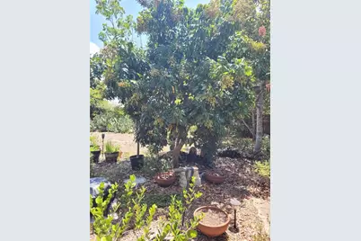 2230 Bougainvillea Street, Sarasota, FL 34239 - Photo 44