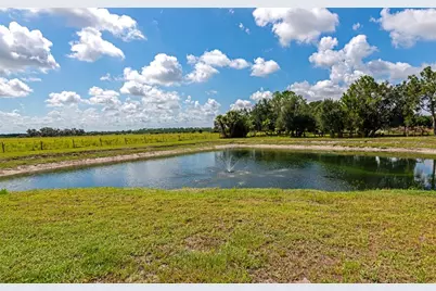 30620 Betts Road, Myakka City, FL 34251 - Photo 6