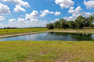 30620 Betts Rd, Myakka City, FL 34251 - Photo 6