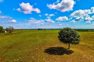 30620 Betts Rd, Myakka City, FL 34251 - Photo 60