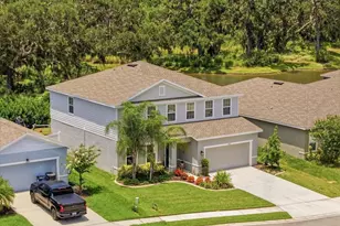 11432 64th St E, Parrish, FL 34219 - Photo 48