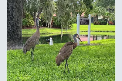 3637 Yellow Pine Court #146, Sarasota, FL 34238 - Photo 44