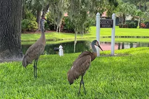 3637 Yellow Pine Ct, Sarasota, FL 34238 - Photo 44