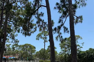 3637 Yellow Pine Ct, Sarasota, FL 34238 - Photo 28