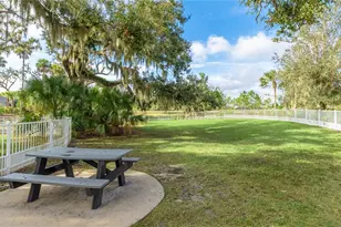 10601 Falling Leaf Ct, Parrish, FL 34219 - Photo 38