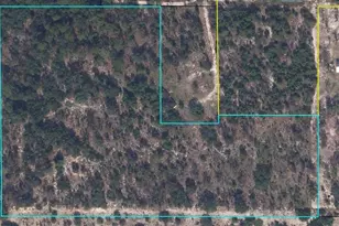 5813 Lady Bug Ln, Melrose, FL 32666 - Photo 1