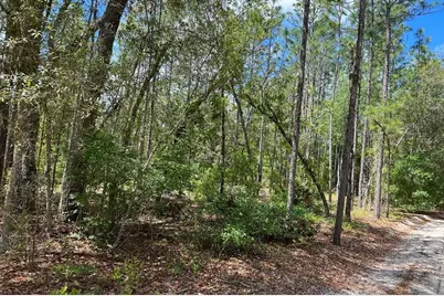 0000 Lady Bug Lane, Melrose, FL 32666 - Photo 2