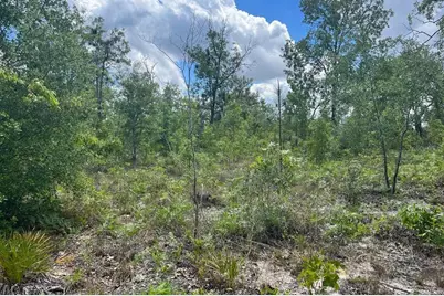 0000 Lady Bug Lane, Melrose, FL 32666 - Photo 10