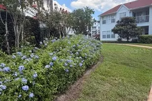 11568 Westwood Blvd, Orlando, FL 32821 - Photo 46