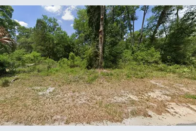 9111 Cr 622, Bushnell, FL 33513 - Photo 2