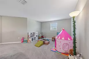 16113 67th Ct Ct E, Parrish, FL 34219 - Photo 20