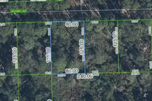 3224 Spoonbill Ave, Lake Placid, FL 33852 - Photo 1