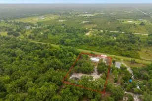16226 NW 254th St, Okeechobee, FL 34972 - Photo 34