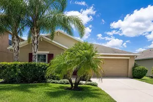 17132 White Mangrove Dr, Wimauma, FL 33598 - Photo 1