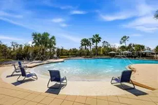 17132 White Mangrove Dr, Wimauma, FL 33598 - Photo 16
