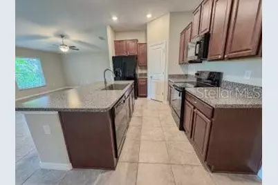 17132 White Mangrove Drive, Wimauma, FL 33598 - Photo 4