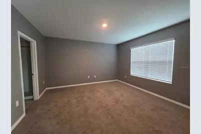 17007 Blister Wing Drive, Wimauma, FL 33598 - Photo 8