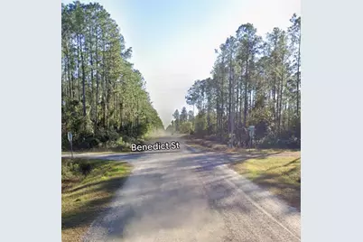 10460 Dillon Avenue, Hastings, FL 32145 - Photo 2
