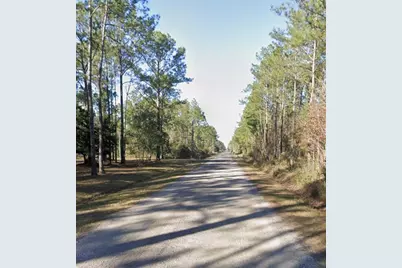 10460 Dillon Avenue, Hastings, FL 32145 - Photo 4