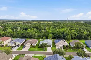 12251 23rd St E, Parrish, FL 34219 - Photo 70