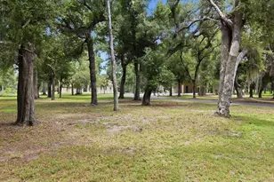 24525 Jennings Rd, Myakka City, FL 34251 - Photo 4