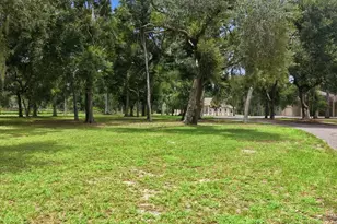 24525 Jennings Rd, Myakka City, FL 34251 - Photo 6