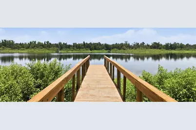 24525 Jennings Road, Myakka City, FL 34251 - Photo 10