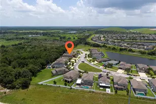 11438 Acacia Grove Ln, Riverview, FL 33579 - Photo 4