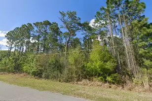 20607 Newby St, Orlando, FL 32833 - Photo 1