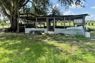 1129 Hopkins Ln, Zolfo Springs, FL 33890 - Photo 20