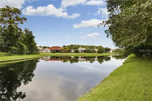 6020 Catlin Dr, Tampa, FL 33647 - Photo 2
