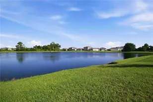 8715 Sunshower Pl, Parrish, FL 34219 - Photo 30